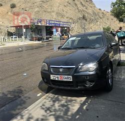 بروتون جين-2